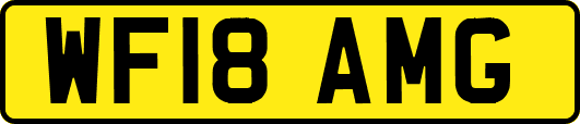 WF18AMG