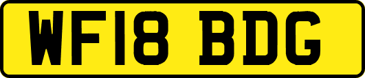 WF18BDG