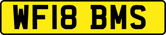 WF18BMS