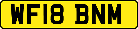 WF18BNM