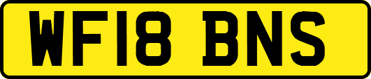 WF18BNS