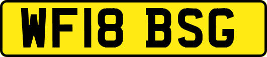 WF18BSG