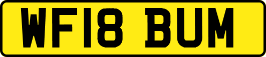 WF18BUM