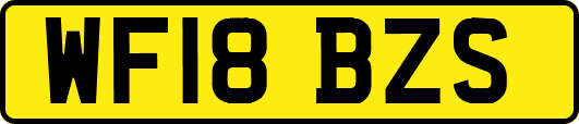 WF18BZS