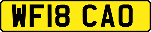 WF18CAO