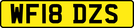 WF18DZS