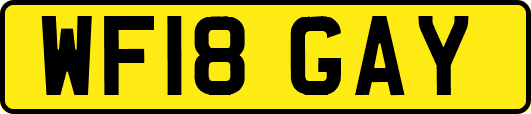 WF18GAY
