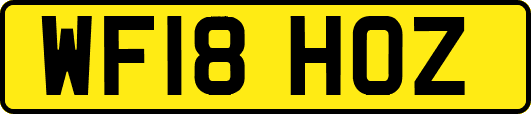 WF18HOZ