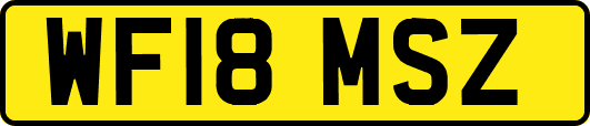 WF18MSZ