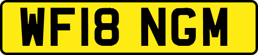 WF18NGM