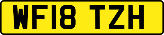 WF18TZH