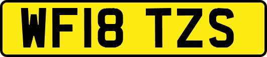 WF18TZS
