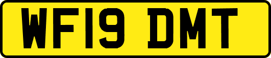WF19DMT