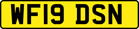 WF19DSN