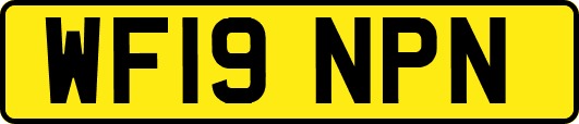 WF19NPN