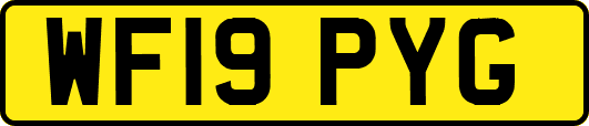 WF19PYG