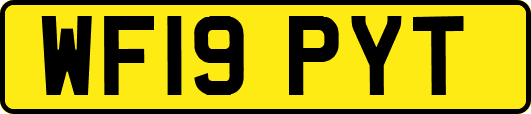 WF19PYT