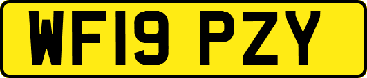 WF19PZY