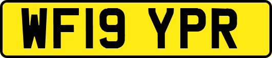 WF19YPR