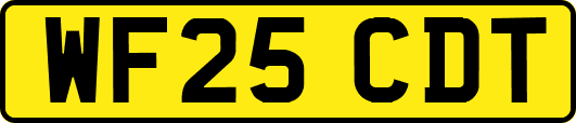 WF25CDT