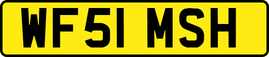 WF51MSH