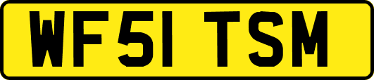 WF51TSM