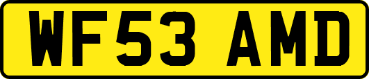 WF53AMD