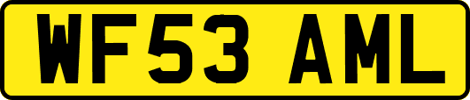 WF53AML