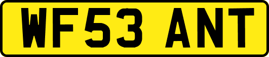 WF53ANT