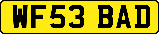 WF53BAD