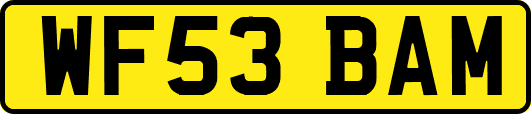 WF53BAM