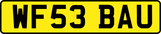 WF53BAU