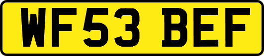 WF53BEF