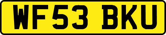 WF53BKU