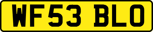 WF53BLO