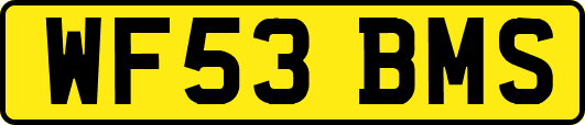 WF53BMS
