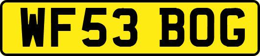 WF53BOG