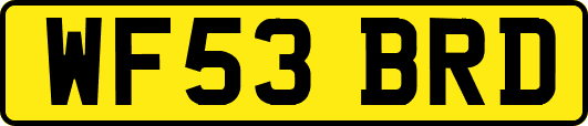 WF53BRD