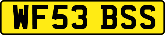WF53BSS