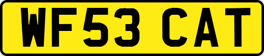 WF53CAT