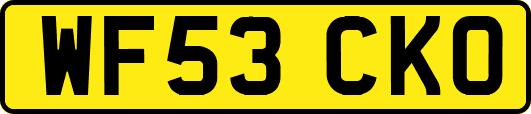 WF53CKO