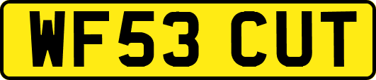 WF53CUT