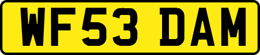 WF53DAM