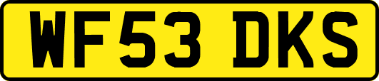 WF53DKS
