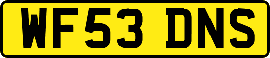 WF53DNS