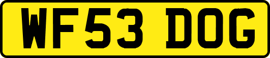 WF53DOG