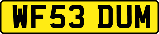 WF53DUM