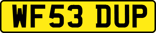 WF53DUP