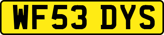 WF53DYS