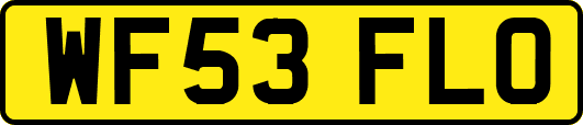 WF53FLO